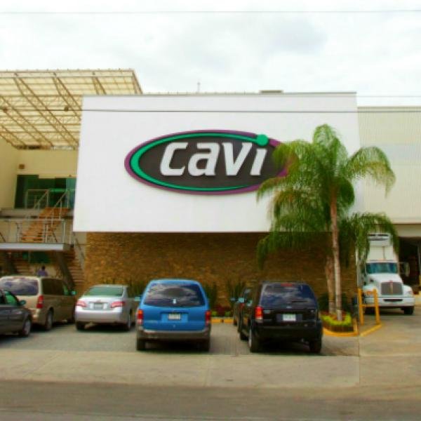 Fruit Packaging Plant